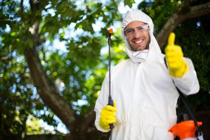 Pest Control in Thames Ditton, Weston Green, KT7. Call Now 020 8166 9746