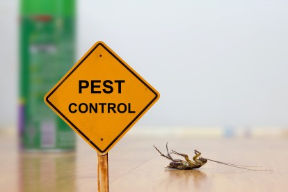 Pest Contol in Thames Ditton, Weston Green, KT7. Call Now 020 8166 9746