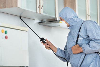 Home Pest Control, Pest Control in Thames Ditton, Weston Green, KT7. Call Now 020 8166 9746