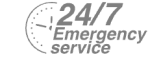 24/7 Emergency Service Pest Control in Thames Ditton, Weston Green, KT7. Call Now! 020 8166 9746